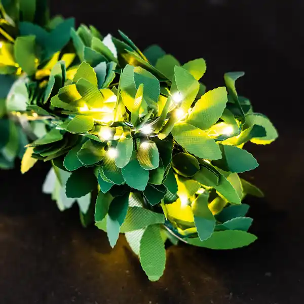 Bild 3 von I-Glow LED-Solar-Lichterkette