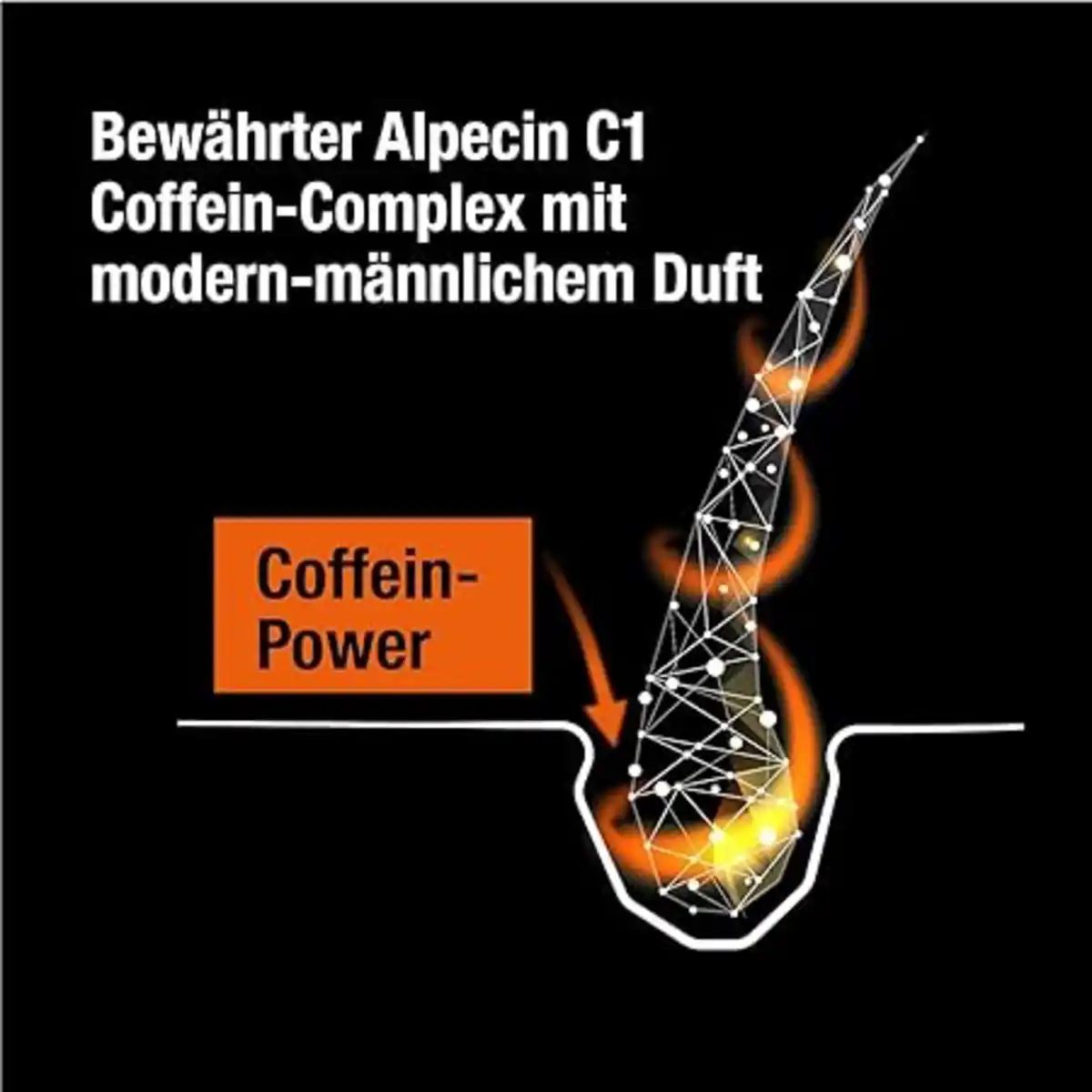Bild 3 von Alpecin Coffein Hair Booster, 200 ml