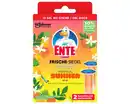 Bild 1 von WC Ente NF 2er Frische Siegel Tropica