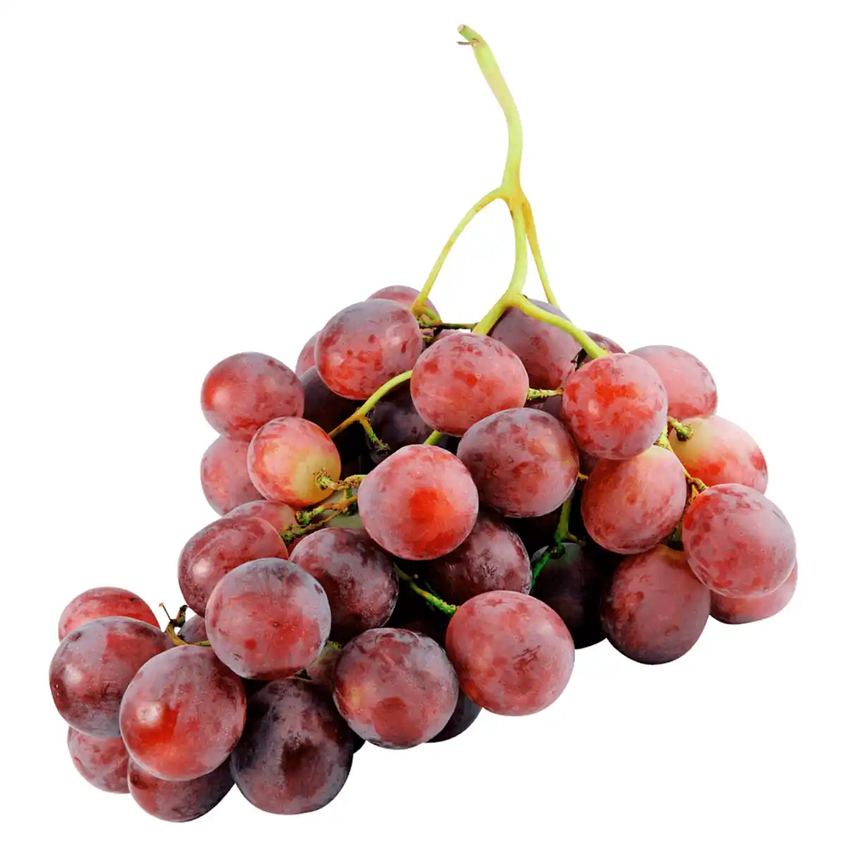 Bild 1 von Tafeltrauben blau kernlos 500g