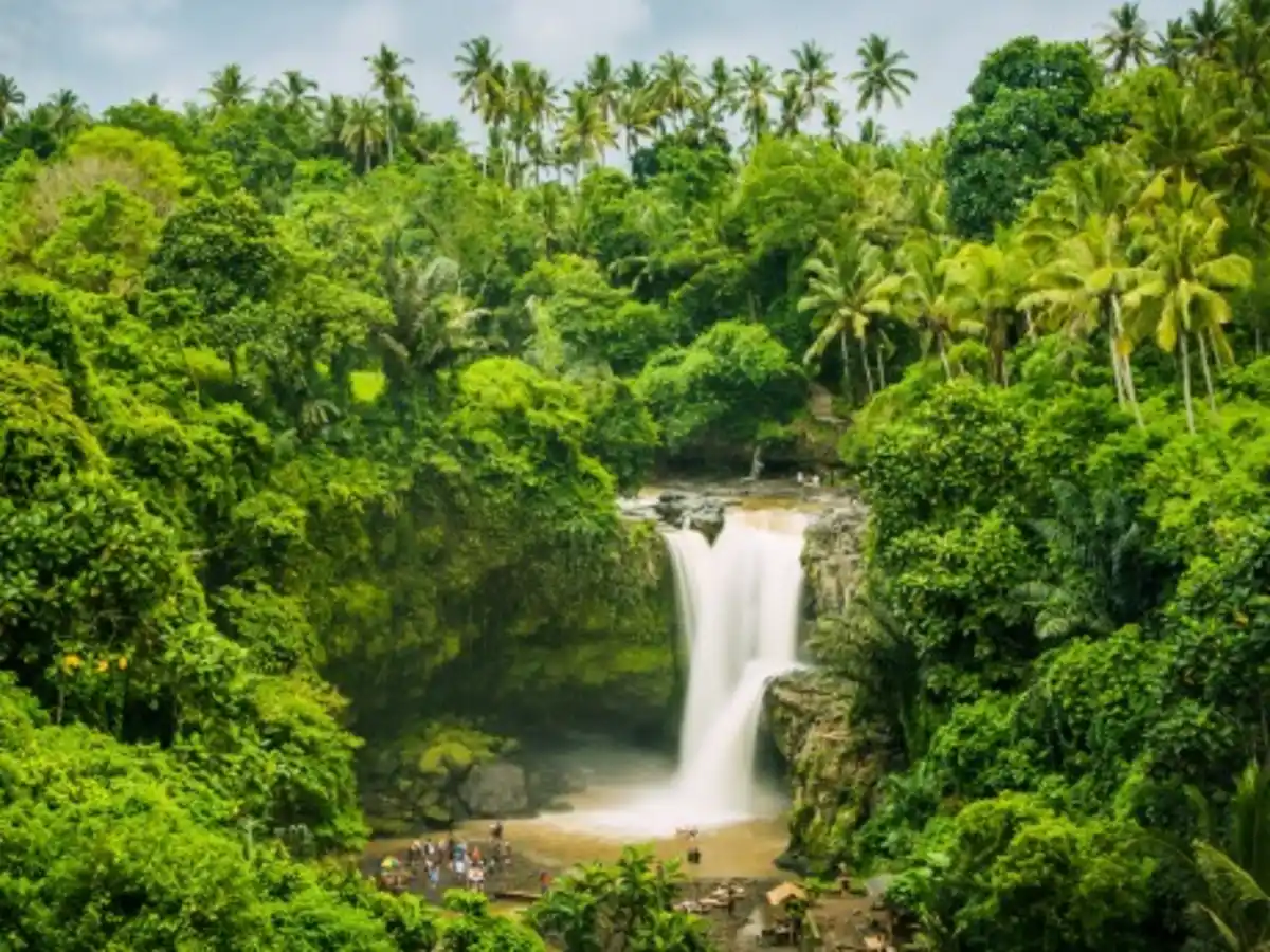 Bild 1 von Rundreisen Indonesien - Bali: Individuelle Rundreise ab/an Denpasar: Balis verborgene Schätze