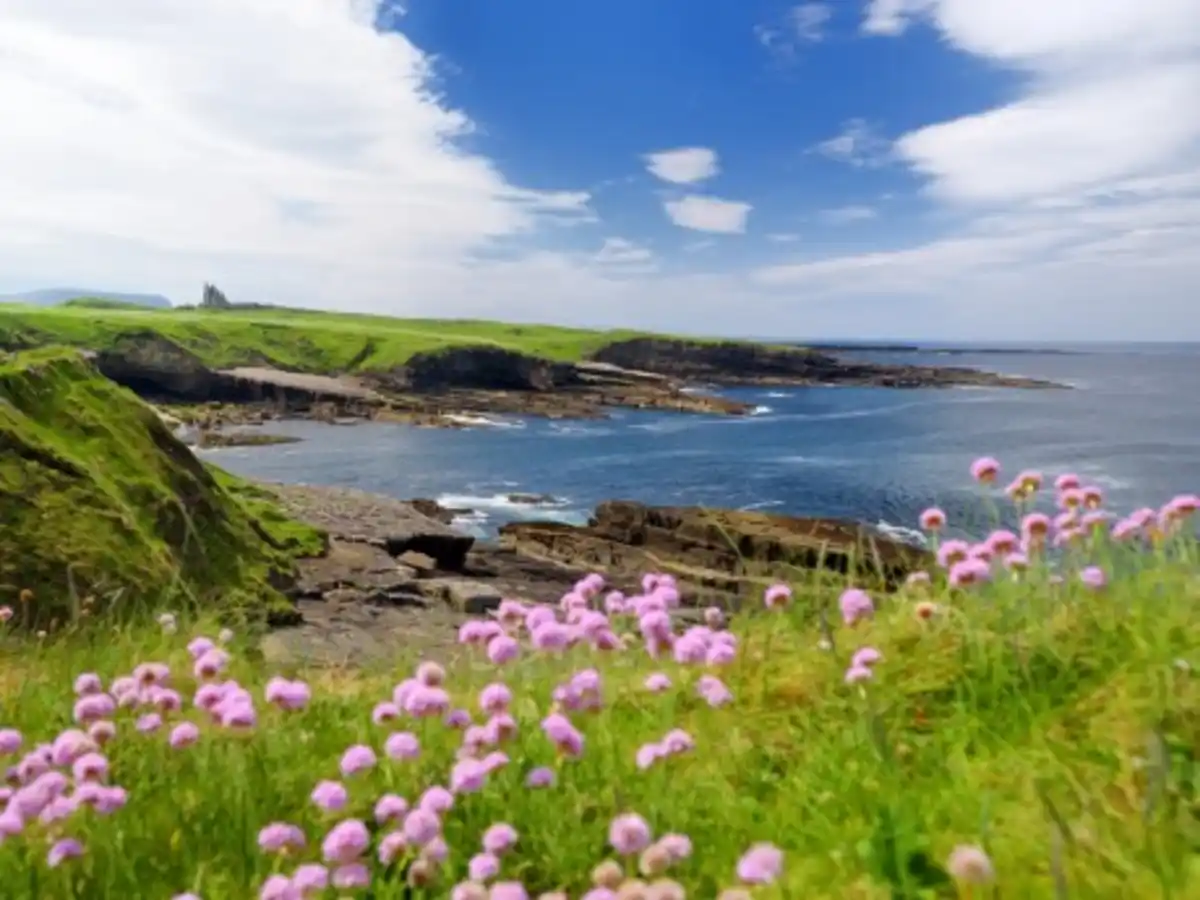 Bild 1 von Rundreisen Nordirland: Flexible Mietwagen-Rundreise ab/an Belfast: Nordirische Entdeckungsreise