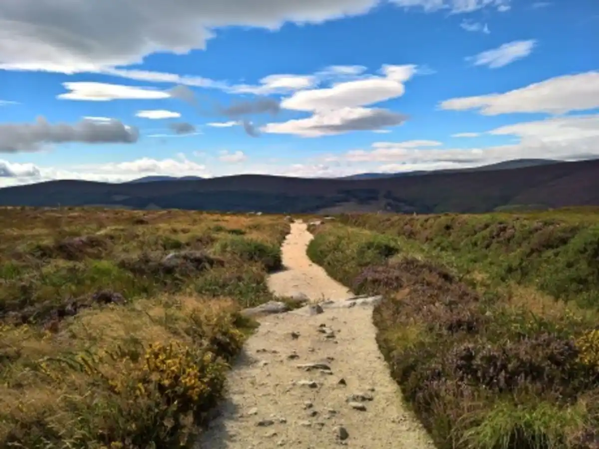 Bild 1 von Rundreisen Irland : Individuelle Rundreise ab/an Dublin: Wandern in den Wicklow Mountains