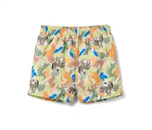 Boardshorts