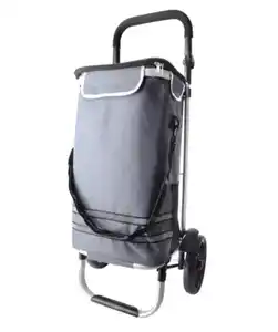 Kühltrolley, grau