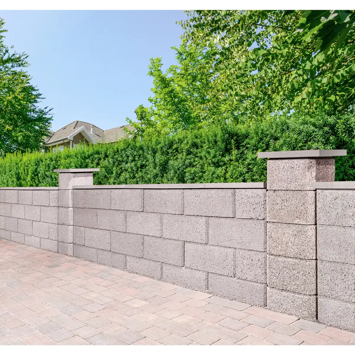 Bild 1 von Abdeckplatte, Beton, Glatt
