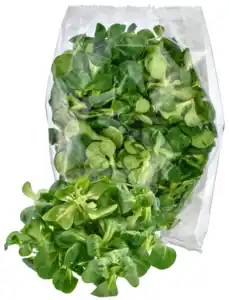 Salat