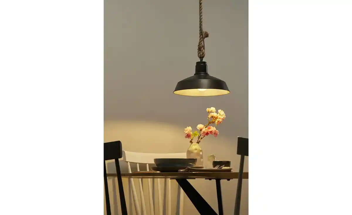 Bild 1 von Pendelleuchte, 1-flammig Metall schwarz