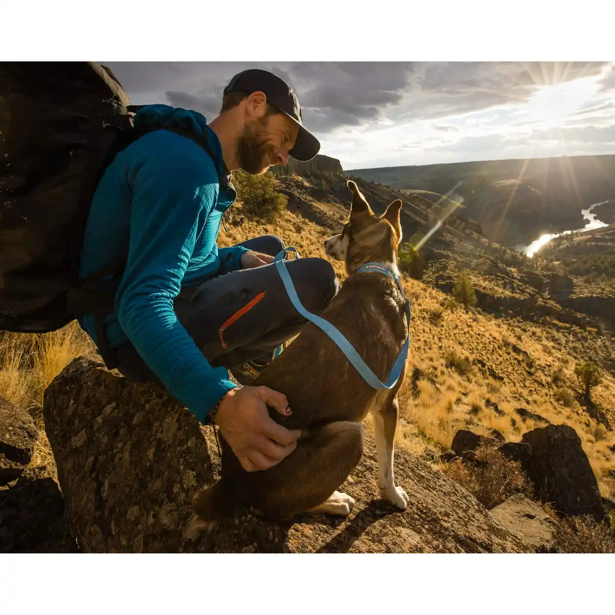 Bild 4 von HI & LIGHT COLLAR - Hundezubehör