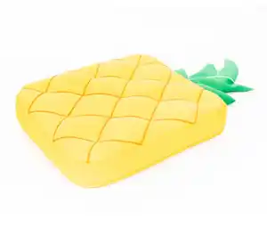 Pool Buddy Ananas