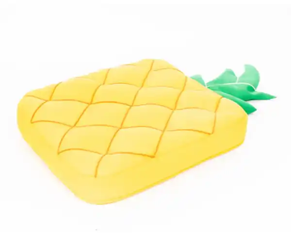 Bild 1 von Pool Buddy Ananas