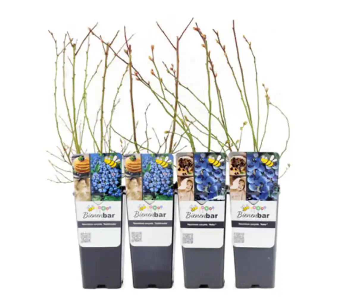 Bild 1 von Blaubeeren, 4er-Set