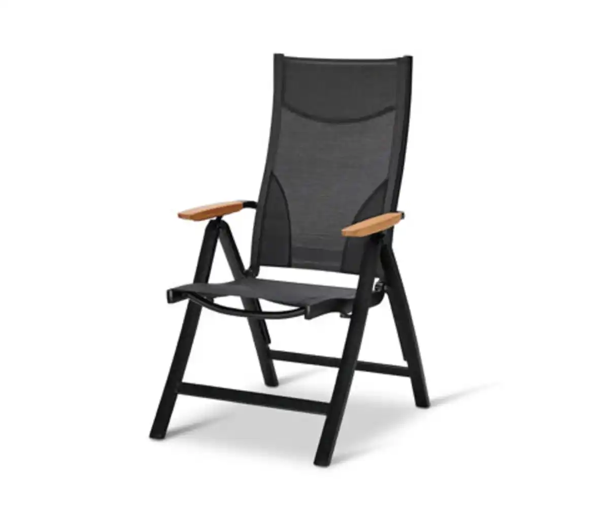 Bild 1 von Hochlehner mit verstellbarer Rückenlehne