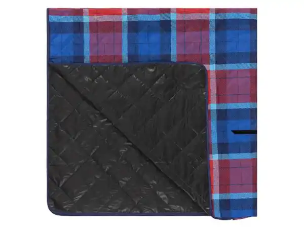 Bild 1 von LIVARNO home Picknickdecke mit Tragegriff, 200 x 200 cm