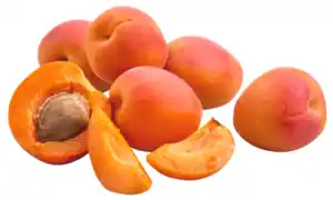 Aprikose