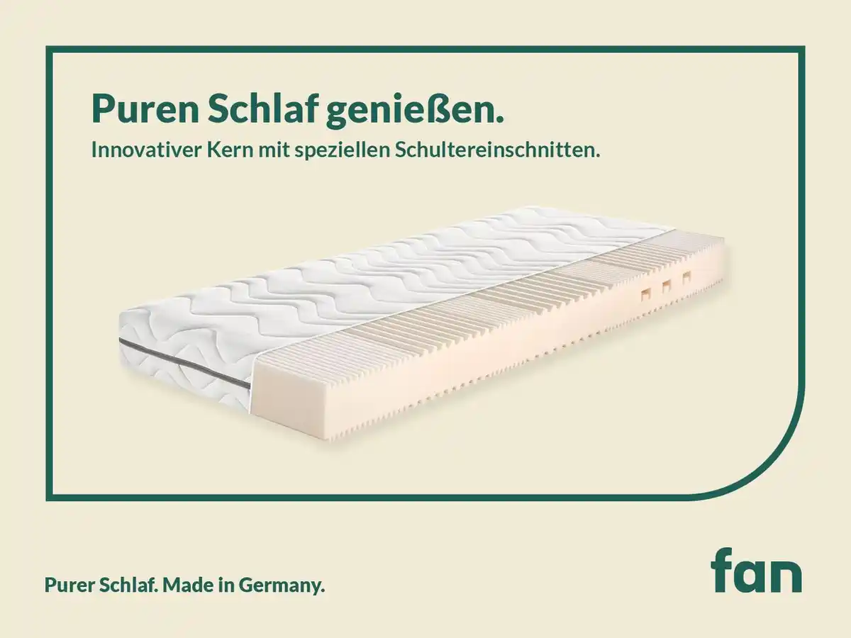 Bild 1 von f.a.n. Megamax Komfort S