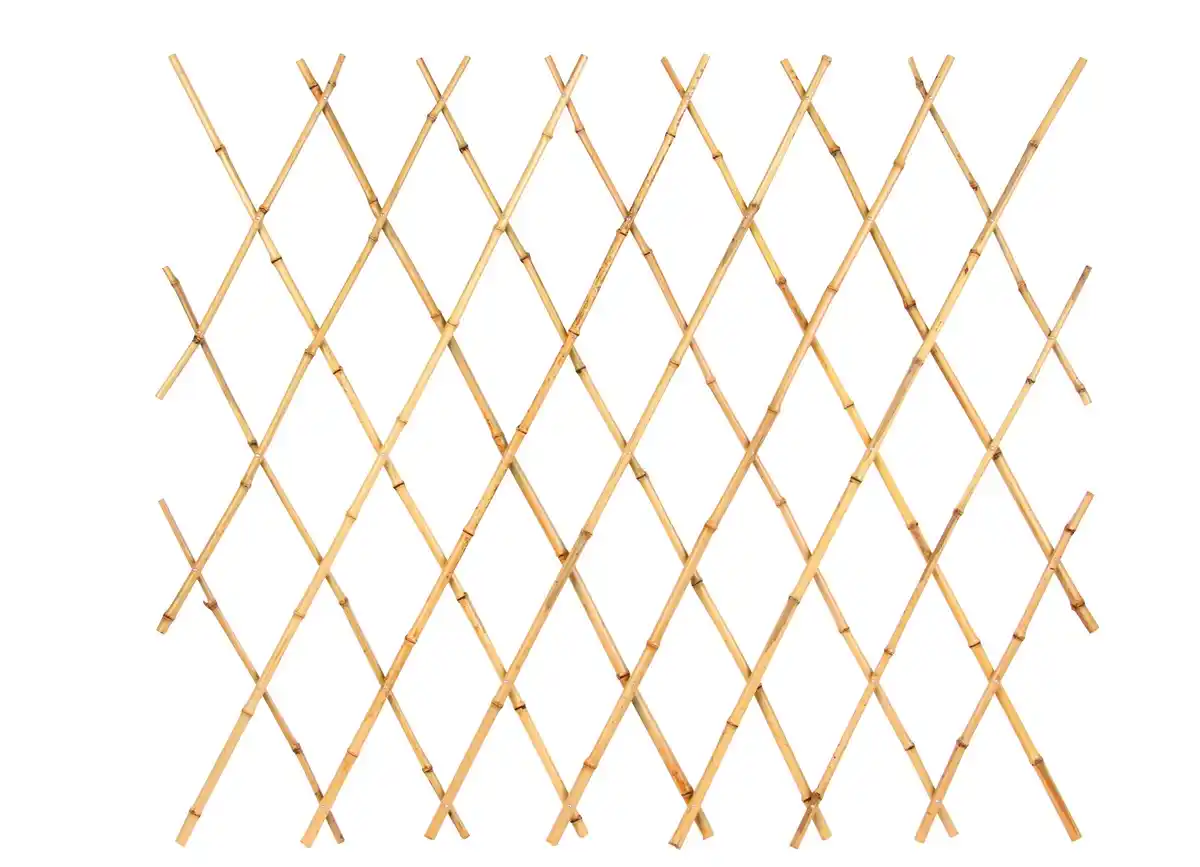 Bild 1 von Bambus-Gartenspalier faltbar