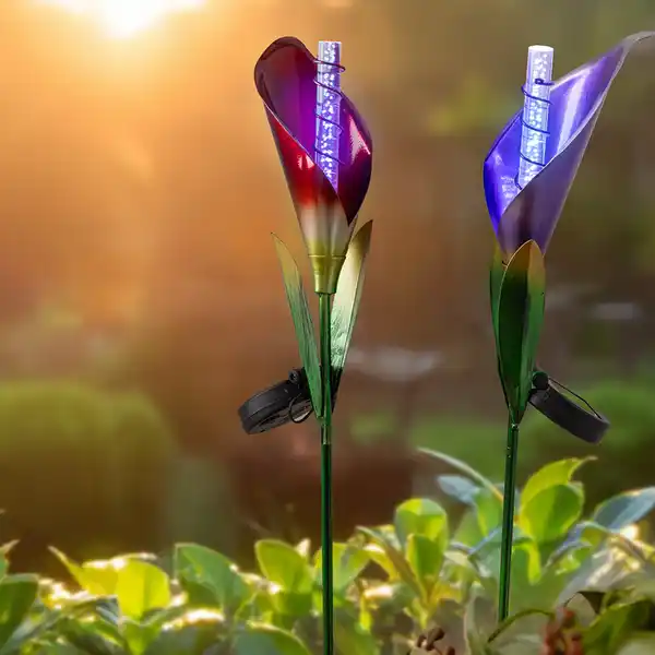 Bild 2 von LED-Solar-Gartenstecker "Calla" - Rot