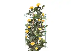 Rosenstütze mit 2 Ringen