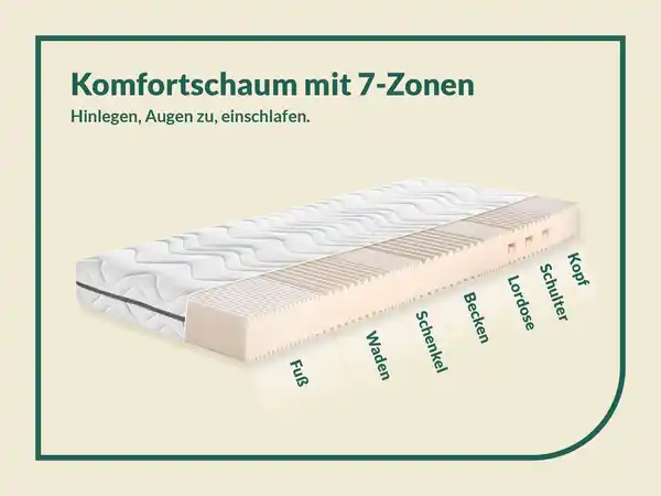 Bild 4 von f.a.n. Megamax Komfort S