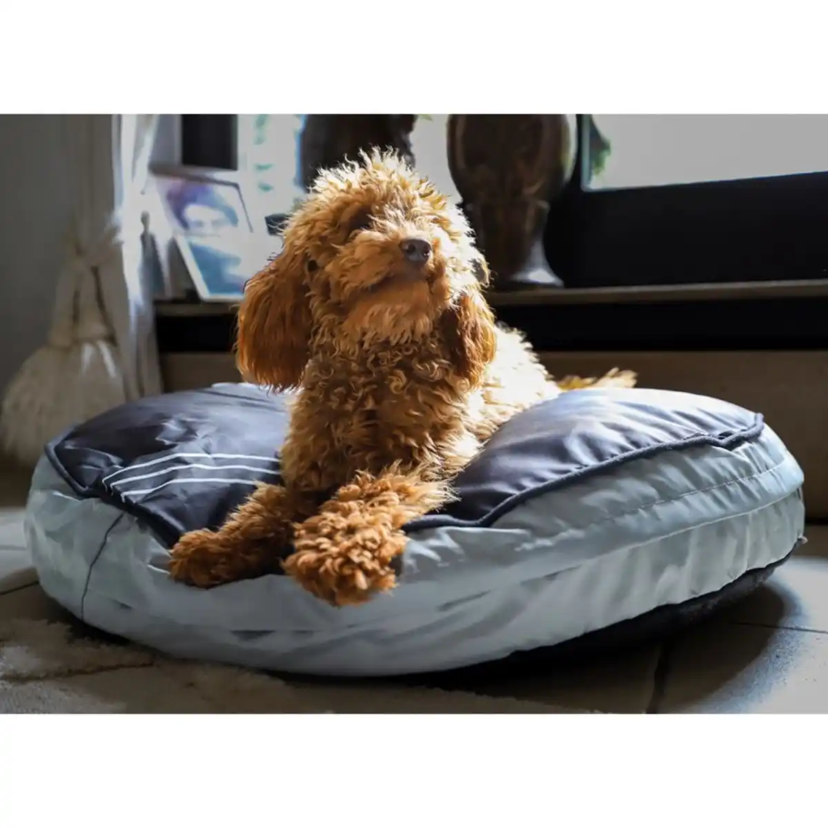 Bild 1 von Outdoor-Hundekissen The Star rund 80cm