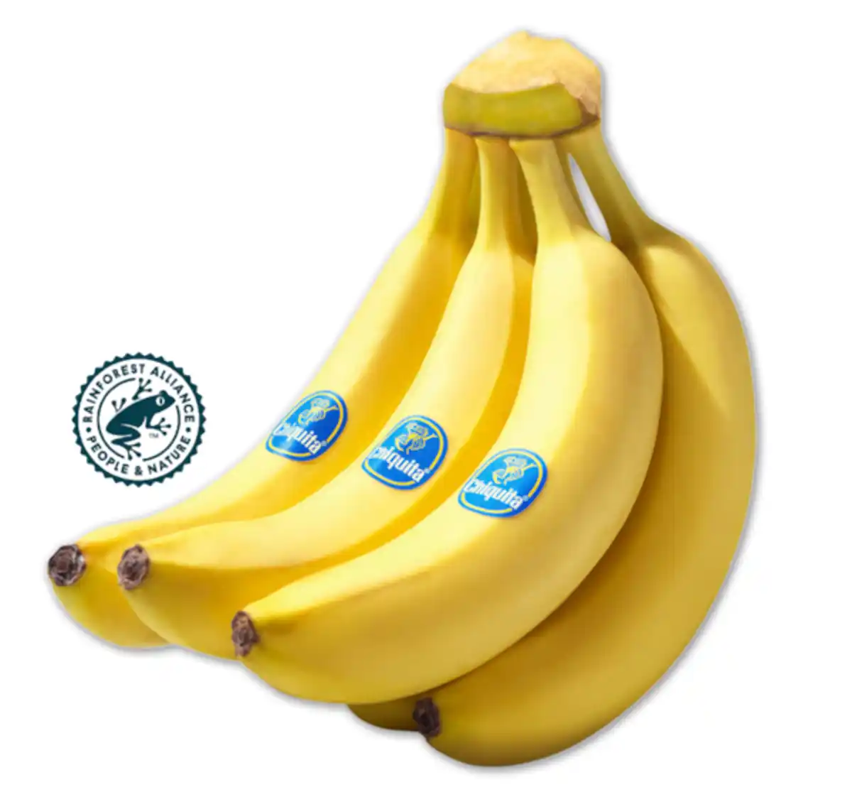 Bild 1 von CHIQUITA Bananen
