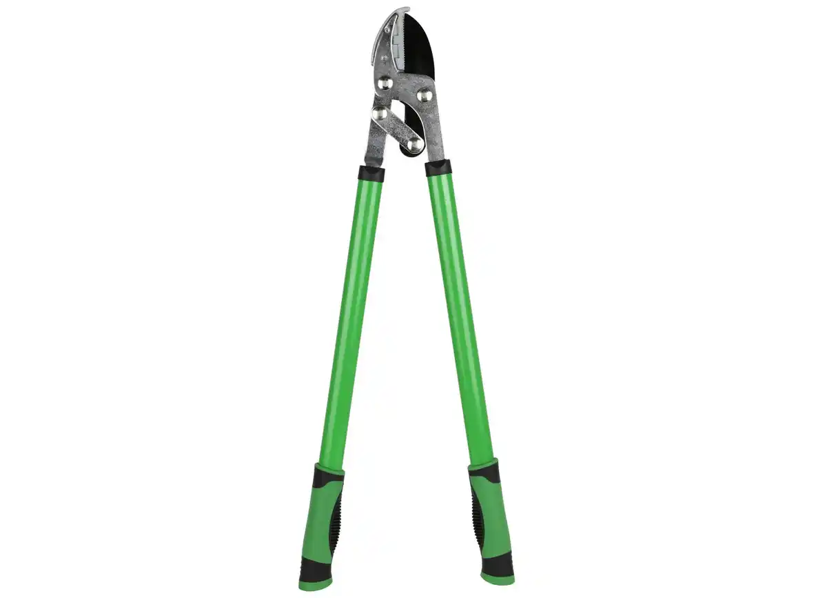 Bild 1 von Amboss-Astschere Besonders stabile