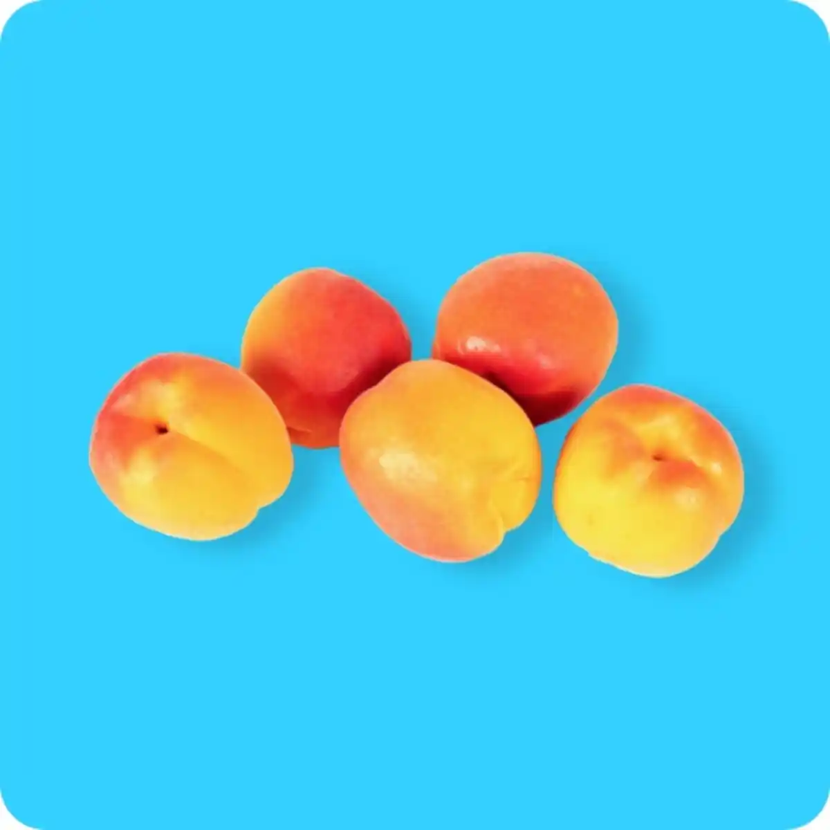 Bild 1 von KLEINE SCHÄTZE Aprikosen, Ursprung: Spanien / Italien / Frankreich