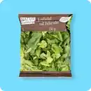 Bild 1 von   Fresh Cut Salat, Kopfsalat mit Petersilie