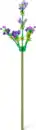 Bild 2 von Zuru MAX Premium Flowers Collection