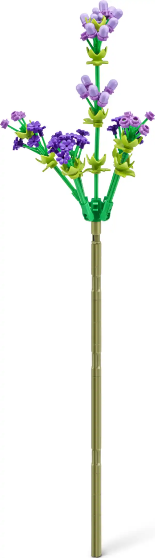 Bild 2 von Zuru MAX Premium Flowers Collection