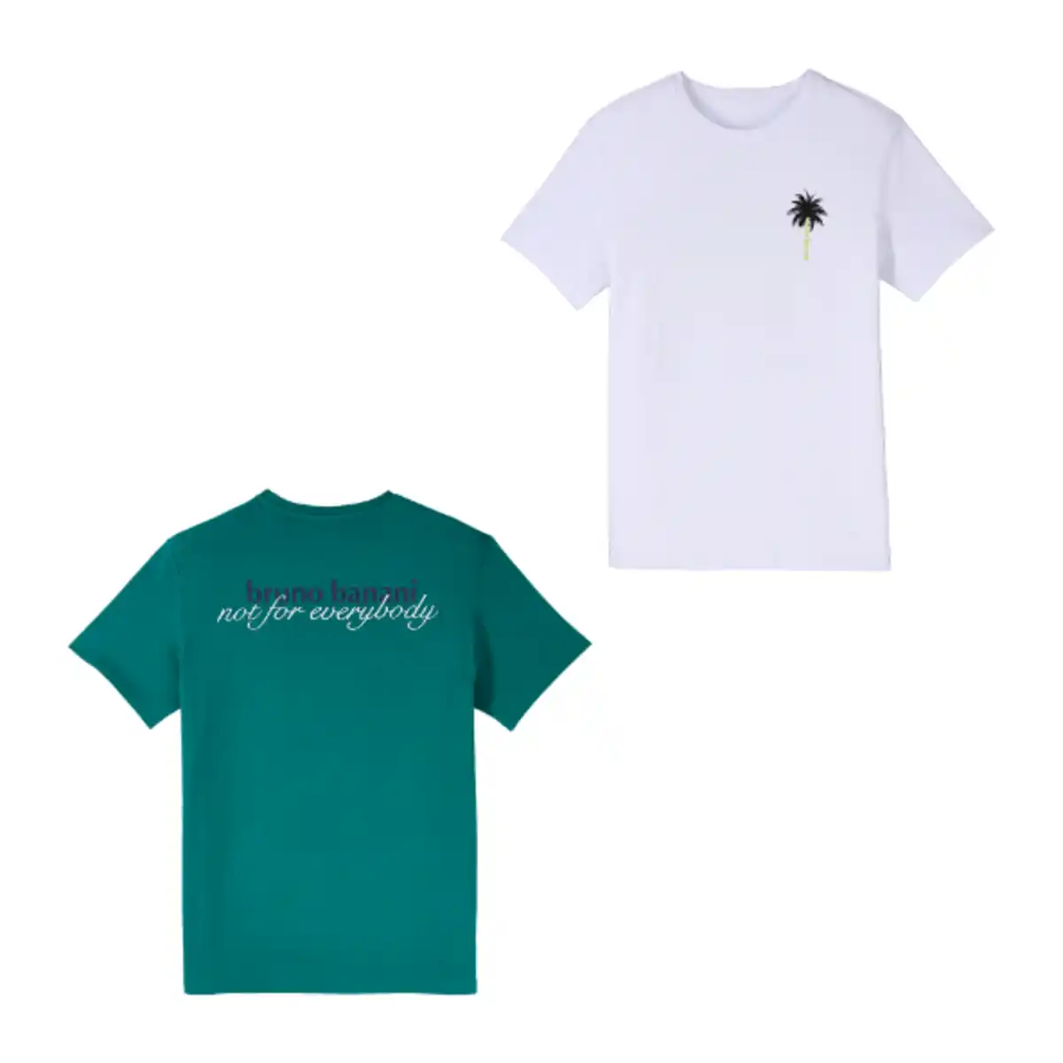 Bild 1 von BRUNO BANANI T-Shirt