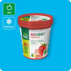 NUR NUR NATUR Bio-Fruchtsorbet oder Bio-Eiscreme, Verschiedene Sorten