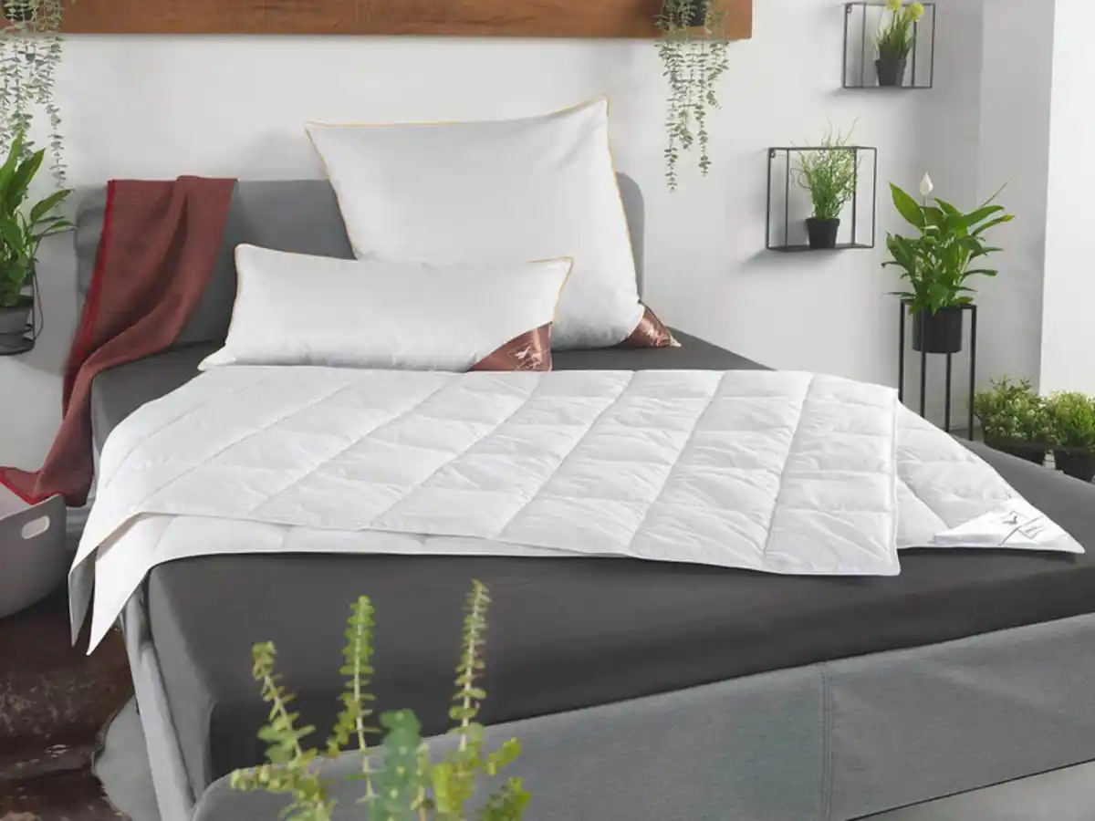 Bild 2 von HÄUSSLING HÄUSSLING Dauneneinzieh-/Sommerdaunendecke