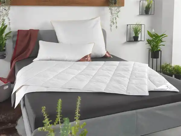 Bild 2 von HÄUSSLING HÄUSSLING Dauneneinzieh-/Sommerdaunendecke