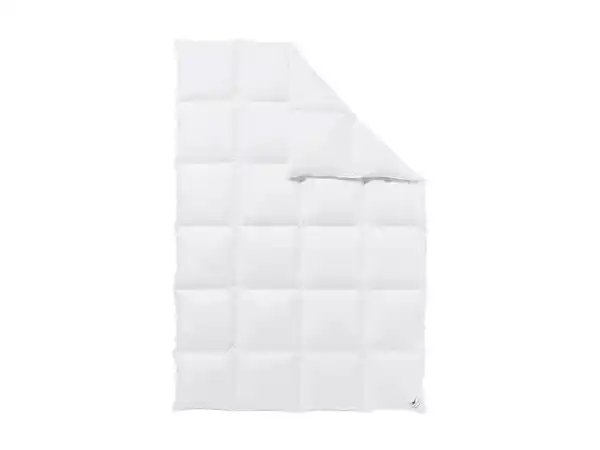 Bild 1 von HÄUSSLING HÄUSSLING Daunen-Kassettenbettdecke, warm, hochwertig, ideal als Ganzjahresdecke