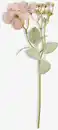 Bild 1 von Kunstblume GESTUR H30cm beige