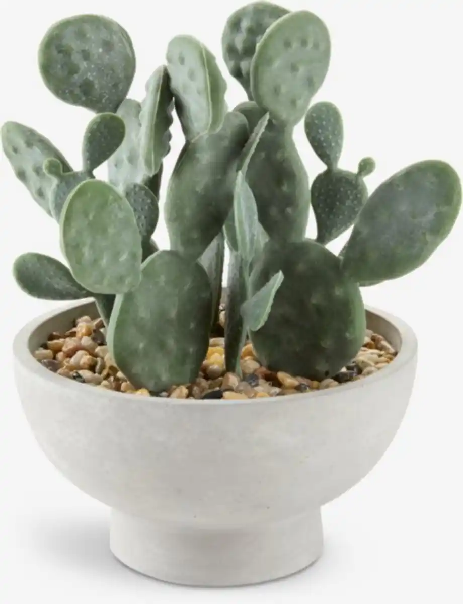 Bild 1 von Kunstpflanze GILLIAN Ø20xH22cm m/Topf