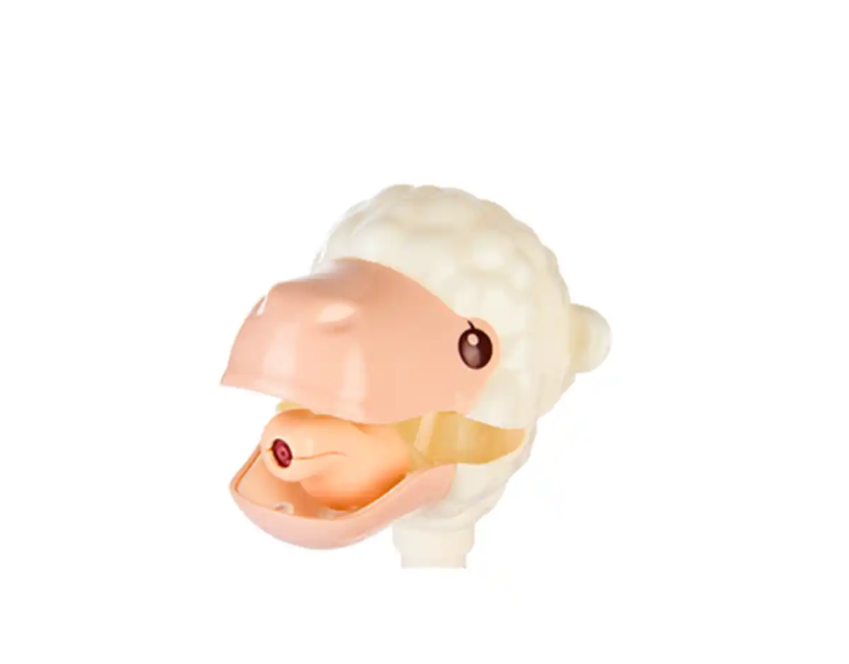 Bild 2 von Wasserpistole