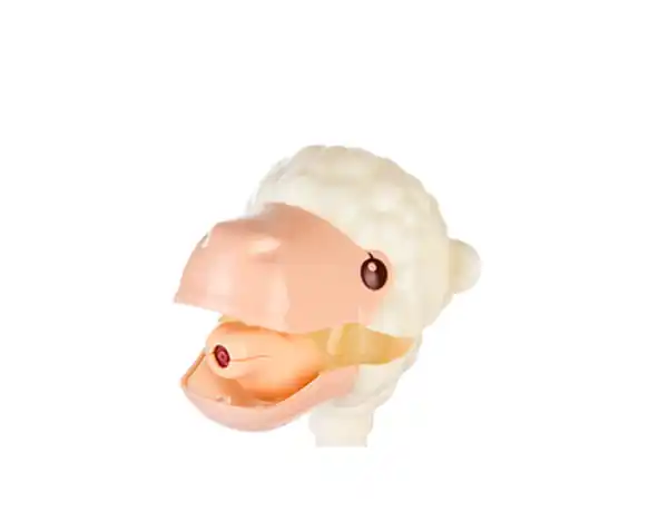 Bild 2 von Wasserpistole