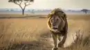Bild 1 von Kenia - Diani Beach & Safari Tsavo-East-Nationalpark