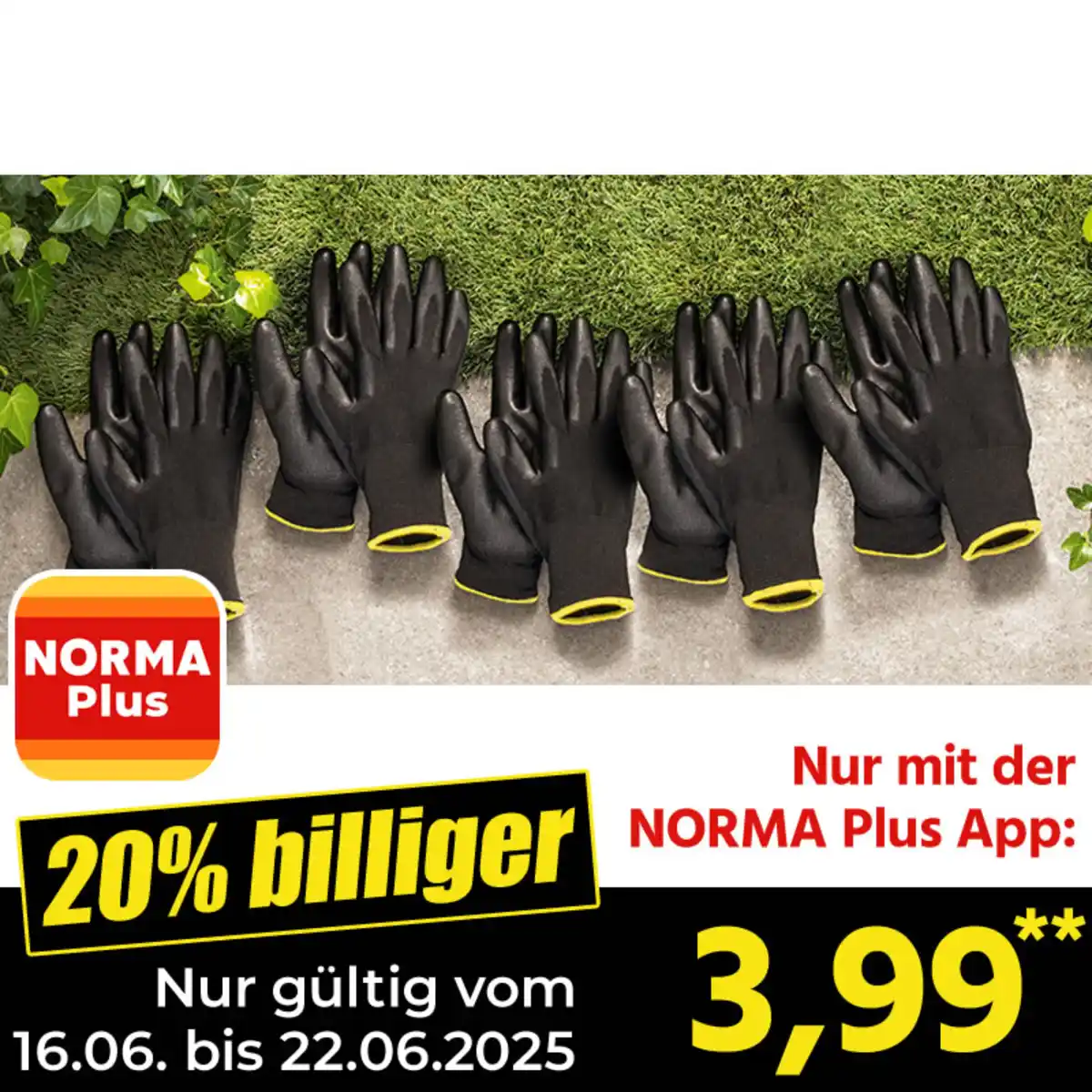 Bild 1 von Powertec Garden Multifunktionshandschuhe 5 Paar