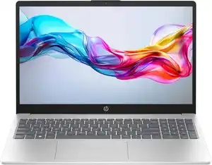 15-fd0511ng (B55U8EA) 39,6 cm (15,6") Notebook natural silver