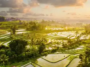 Rundreisen Indonesien - Bali Nord & Süd : Individuelle Rundreise ab/bis Denpasar: Tempelzauber und Tropenvielfalt