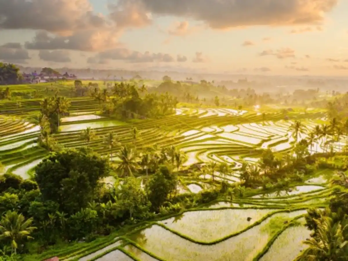 Bild 1 von Rundreisen Indonesien - Bali Nord & Süd : Individuelle Rundreise ab/bis Denpasar: Tempelzauber und Tropenvielfalt