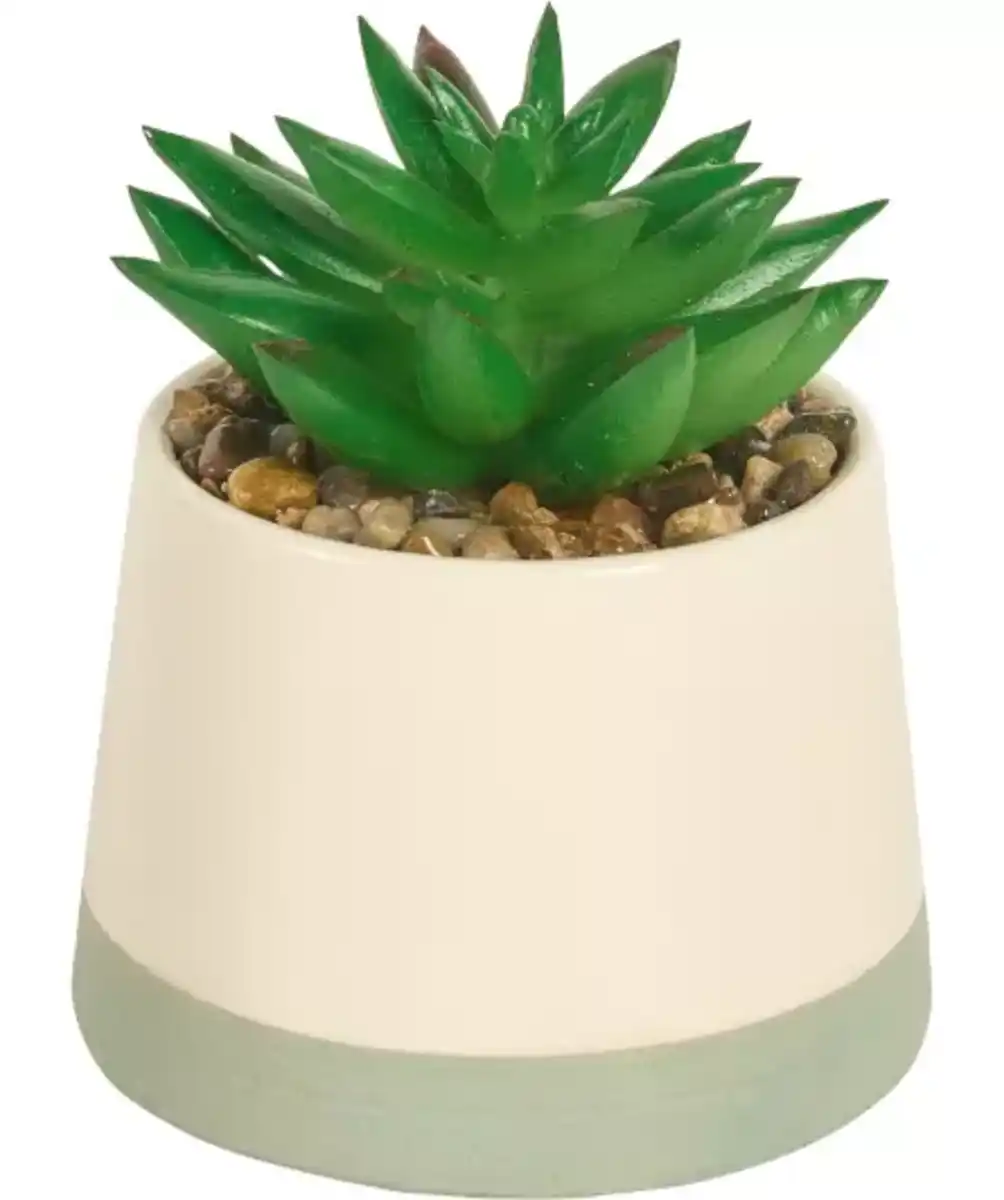 Bild 1 von Kunstsukkulente im Topf, weiß