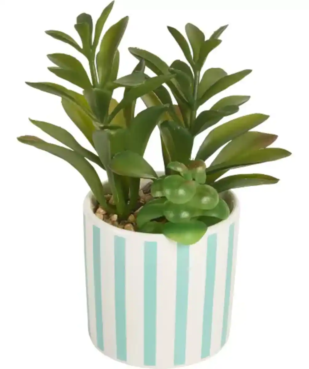 Bild 1 von Kunstsukkulente im gestreiften Topf, blau/grün