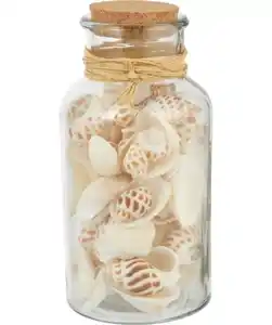 Muscheln im Glas, weiß