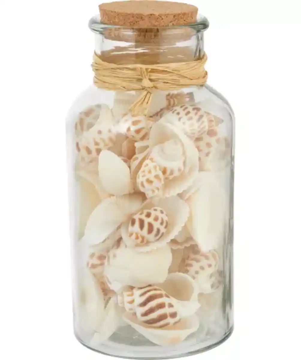 Bild 1 von Muscheln im Glas, weiß