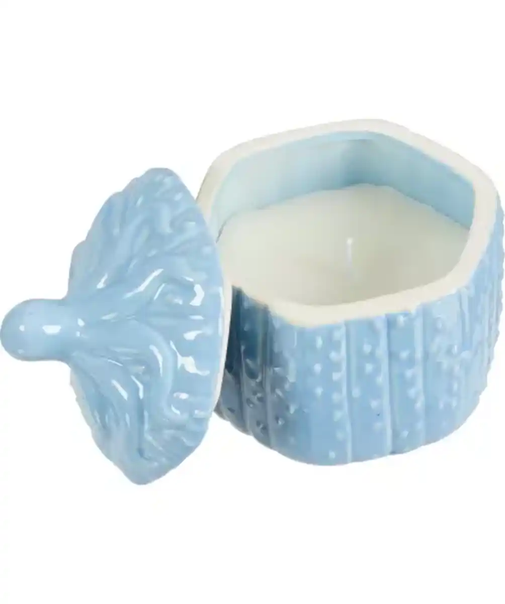 Bild 1 von Maritime Kerze, hellblau